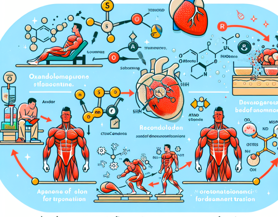 Oxandrolone and its ability to promote muscle repair post-training